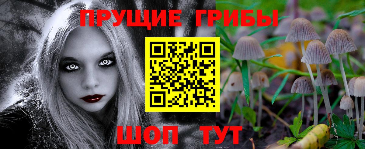 Галлюциногенные грибы Magic Shrooms  Псилоцибиновые грибы Psilocybe  Ейск  магазин продажи наркотиков  Вход с VPN 